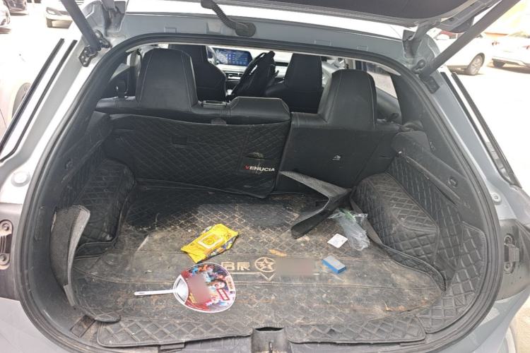 Used Venucia V 2021 260T Tianwang Edition Trunk
