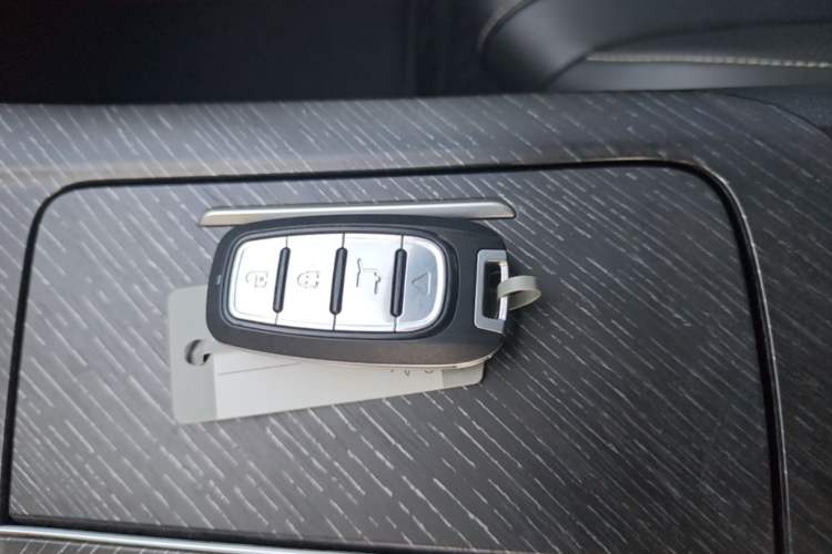Used Venucia V 2021 260T Idol Edition Vehicle Key