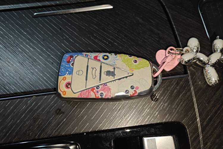 Used Venucia V 2021 260T Tianwang Edition Vehicle Key