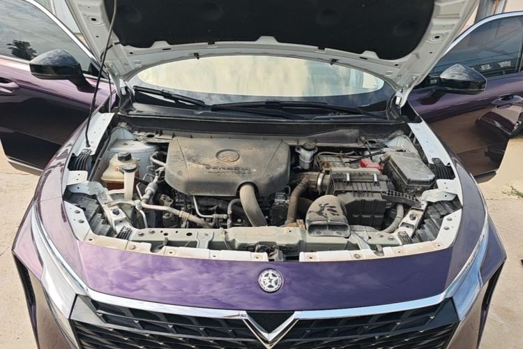 Used Venucia V 2021 260T Idol Edition Engine Bay