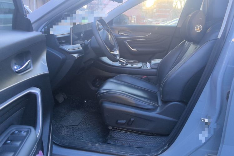 Used Venucia V 2021 260T Idol Edition Driver Seat