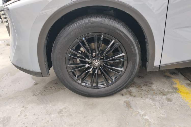 Used Venucia V 2021 260T Idol Edition Exterior 7