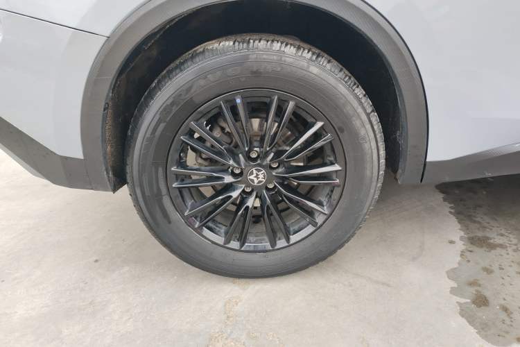 Used Venucia V 2021 260T Idol Edition Exterior 8