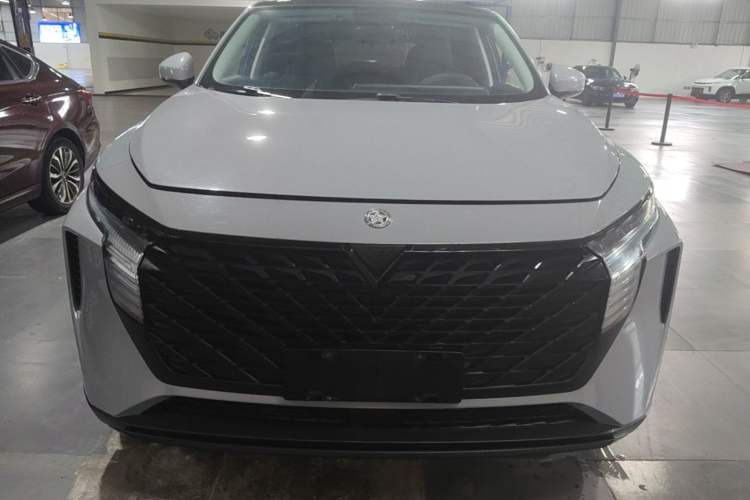 Used Venucia V 2021 260T Idol Edition Front