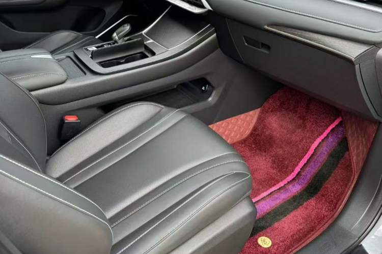 Used Venucia V 2021 260T Idol Edition Interior 4