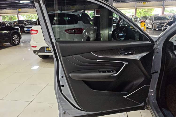 Used Venucia V 2021 260T Tianwang Edition Left Front Door Interior