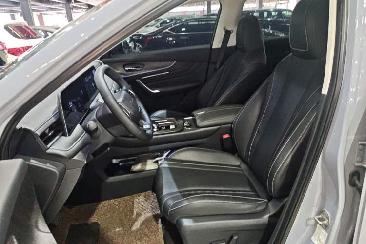Used Venucia V 2021 260T Tianwang Edition Left Front Seat
