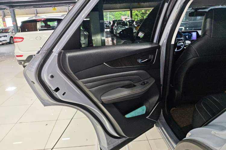 Used Venucia V 2021 260T Tianwang Edition Left Rear Door Interior