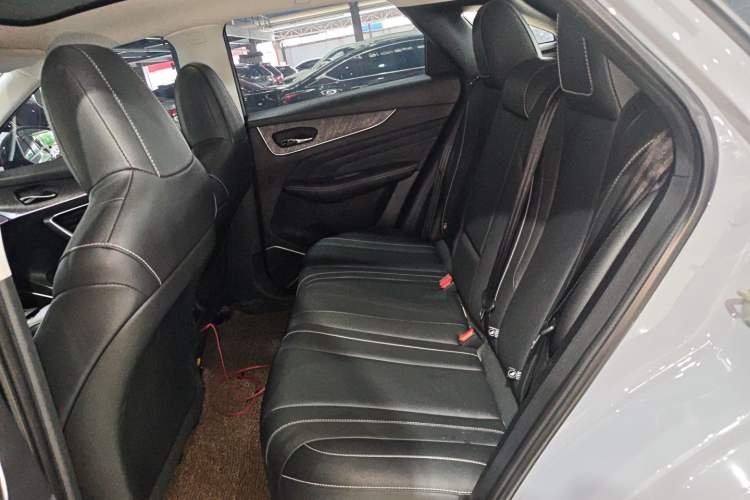 Used Venucia V 2021 260T Tianwang Edition Left Rear Seat