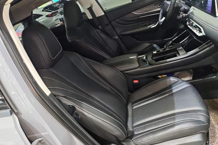 Used Venucia V 2021 260T Tianwang Edition Right Front Seat