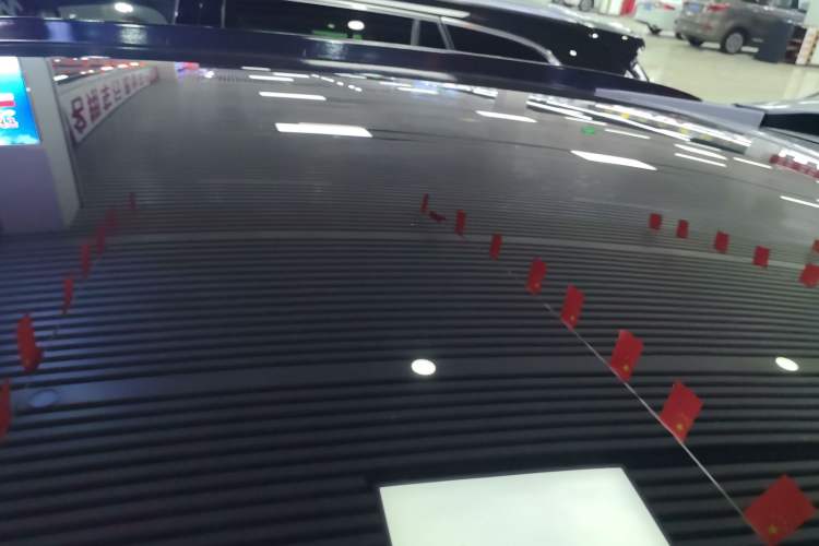 Used Venucia V 2021 260T Idol Edition Roof