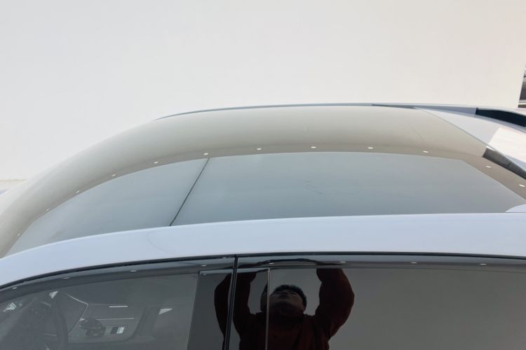 Used Venucia V 2021 260T Idol Edition Roof