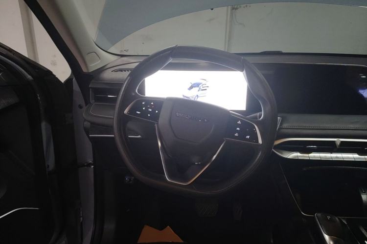 Used Venucia V 2021 260T Idol Edition Steering Wheel