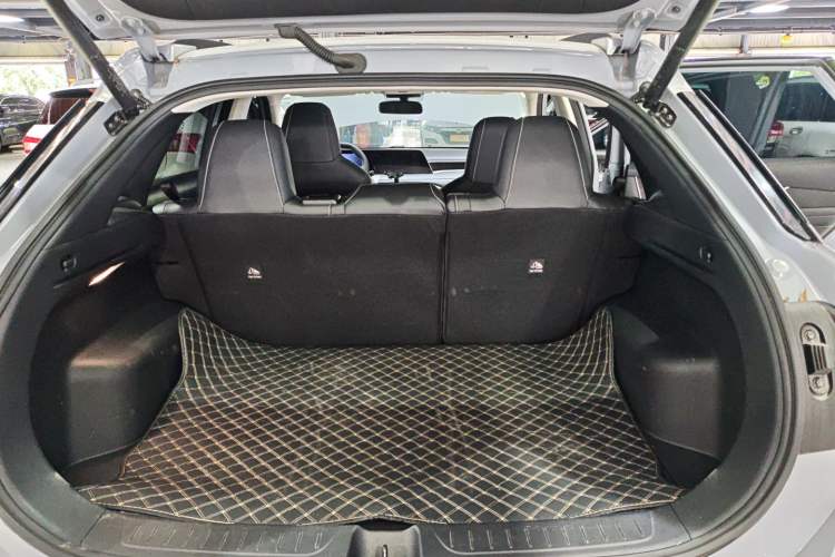 Used Venucia V 2021 260T Tianwang Edition Trunk