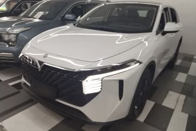 Used Venucia V 2021 260T Idol Edition