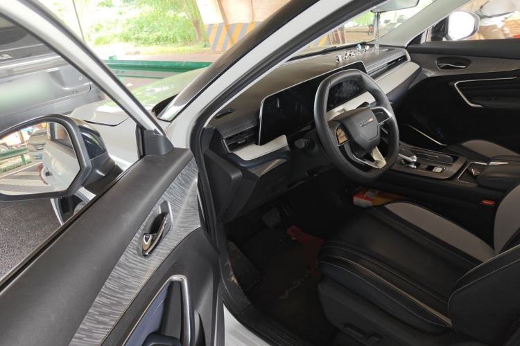 Used Venucia V 2021 260T Tianwang Edition Driver Seat