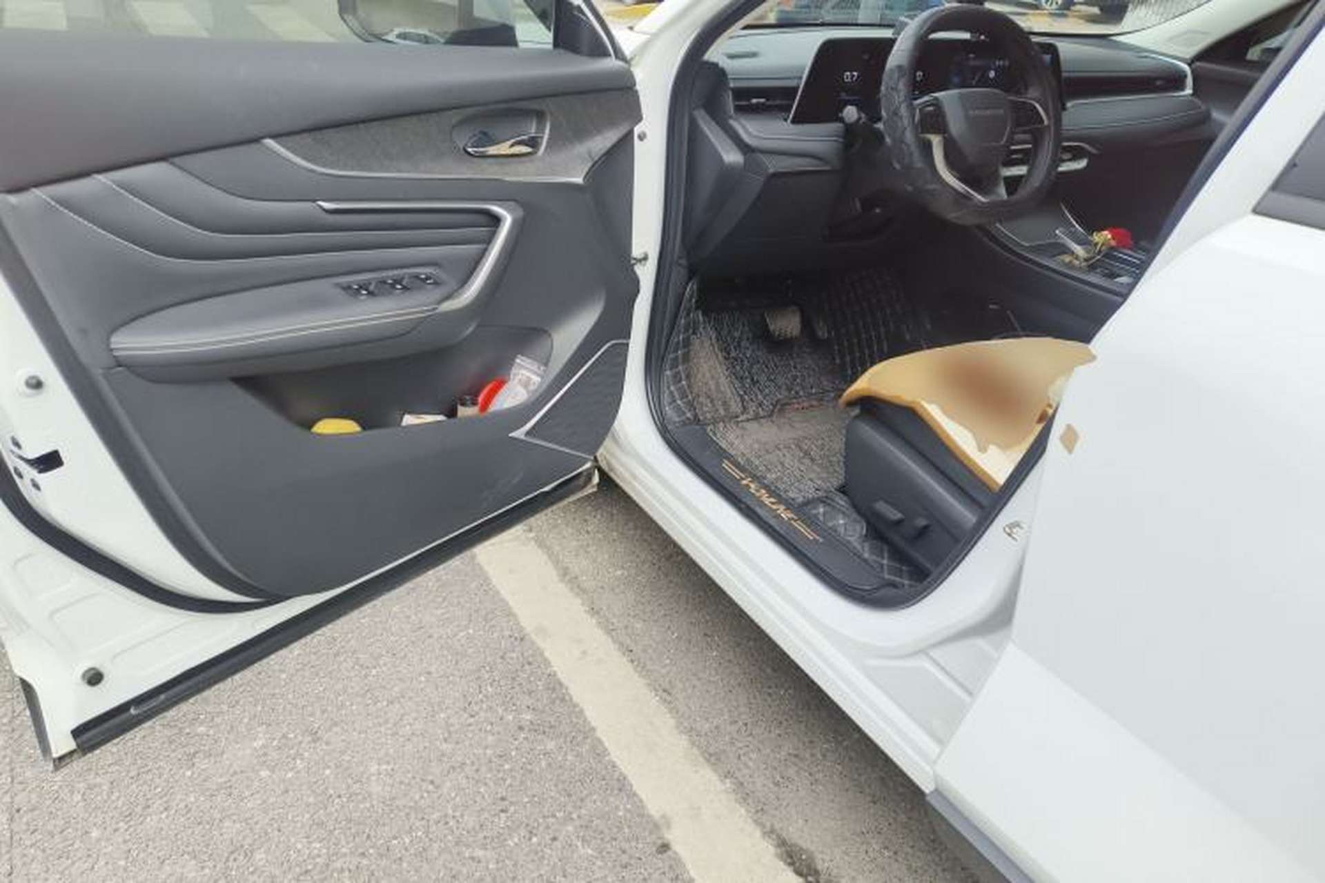 Used Venucia V 2021 260T Tianwang Edition Driver Seat