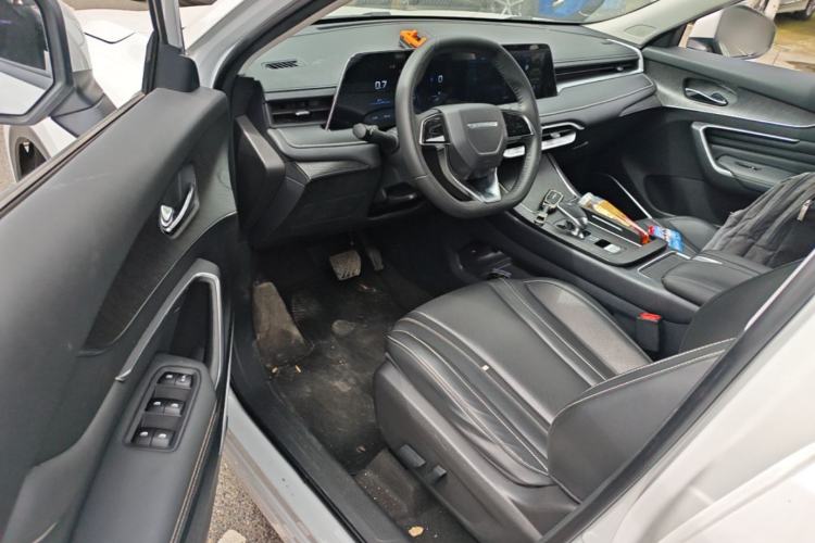 Used Venucia V 2021 260T Tianwang Edition Driver Seat