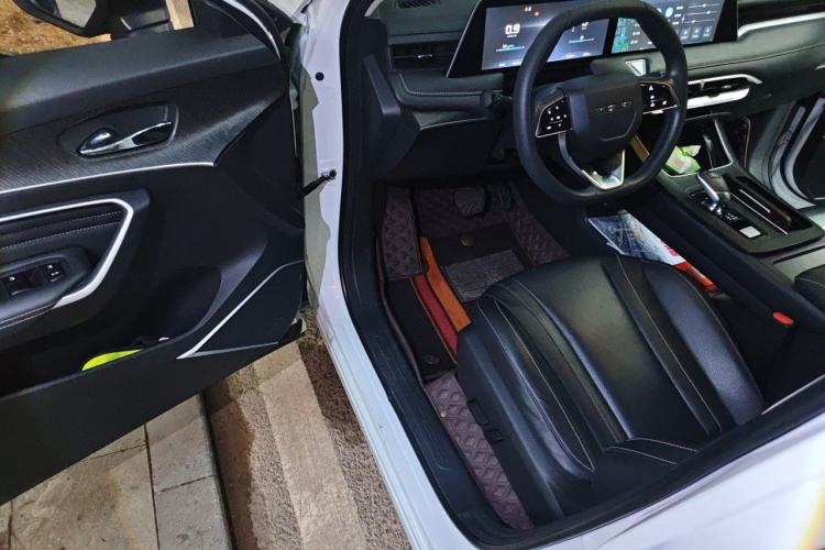 Used Venucia V 2021 260T Idol Edition Driver Seat