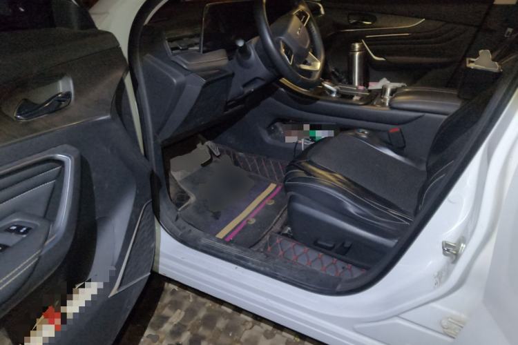 Used Venucia V 2021 260T Tianwang Edition Driver Seat