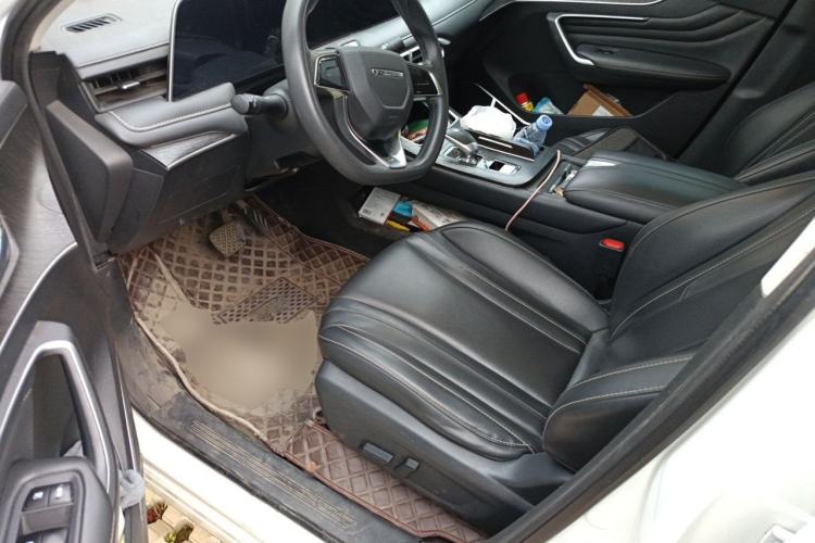 Used Venucia V 2021 260T Idol Edition Driver Seat