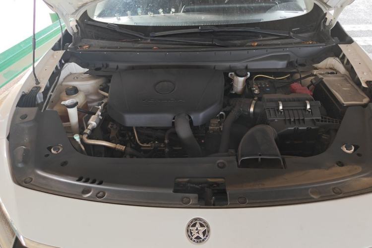 Used Venucia V 2021 260T Tianwang Edition Engine Bay