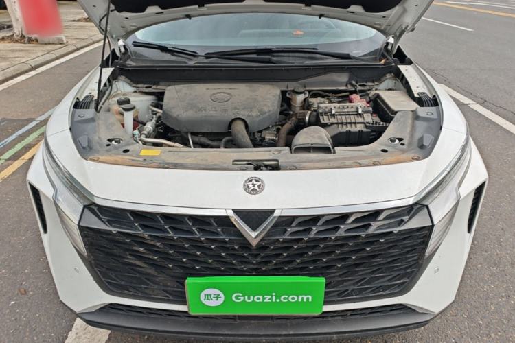 Used Venucia V 2021 260T Tianwang Edition Engine Bay