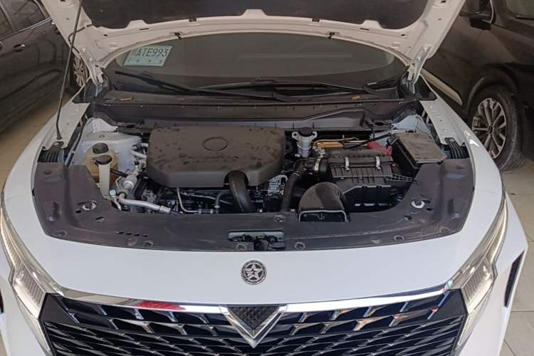 Used Venucia V 2021 260T Idol Edition Engine Bay