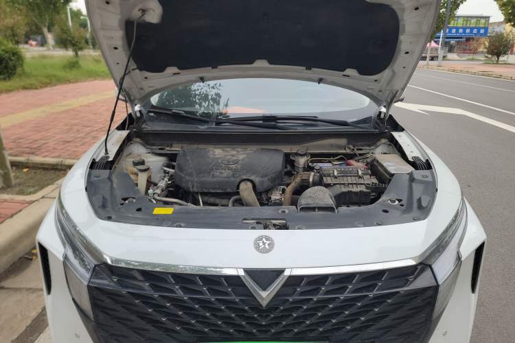 Used Venucia V 2021 260T Tianwang Edition Engine Bay