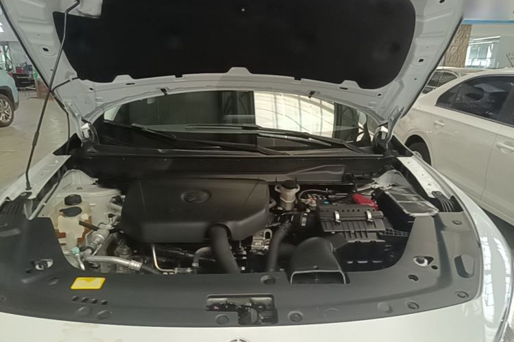 Used Venucia V 2021 260T Tianwang Edition Engine Bay