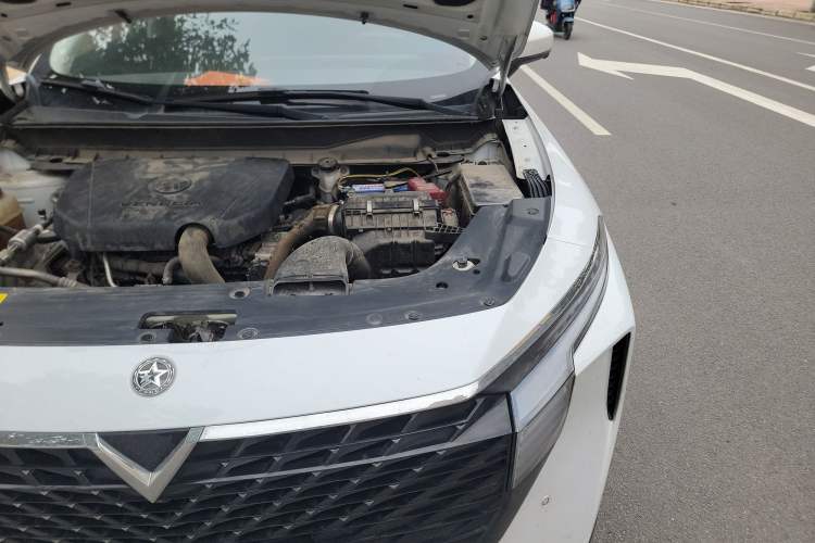 Used Venucia V 2021 260T Tianwang Edition Engine Bay Left