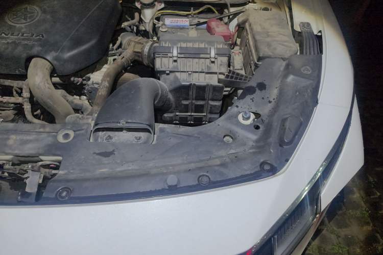 Used Venucia V 2021 260T Tianwang Edition Engine Bay Left