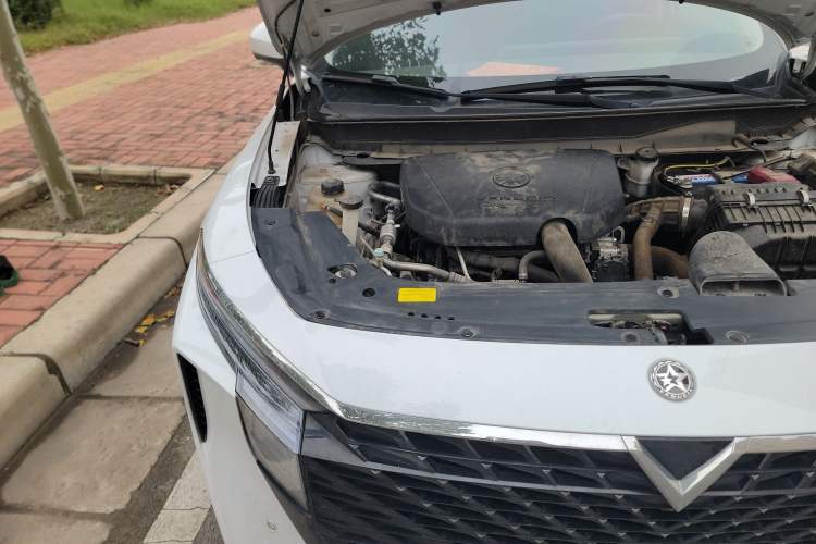 Used Venucia V 2021 260T Tianwang Edition Engine Bay Right