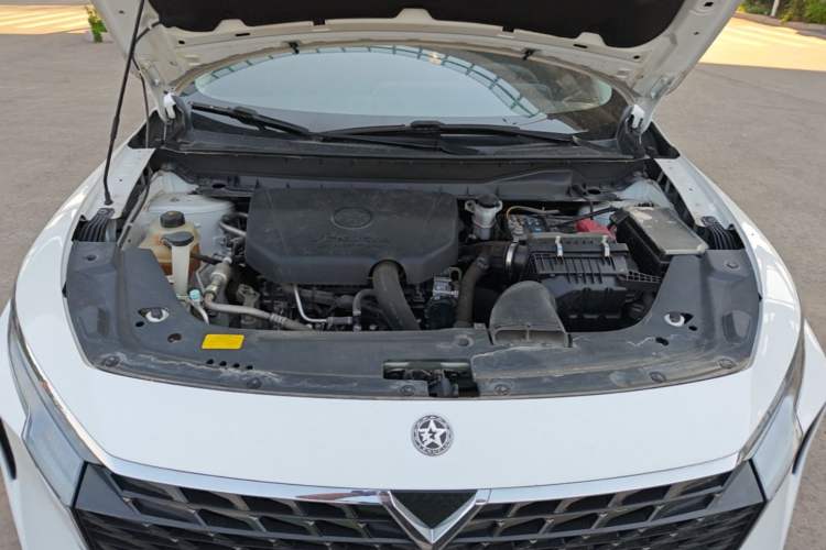Used Venucia V 2021 260T Idol Edition Engine Bay
