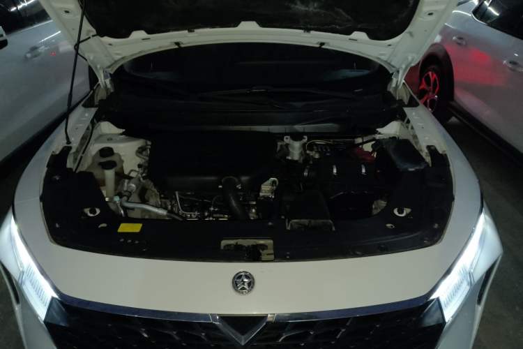 Used Venucia V 2021 260T Tianwang Edition Engine Bay