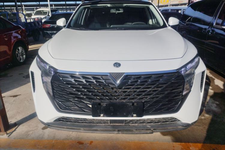 Used Venucia V 2021 260T Idol Edition Exterior 1