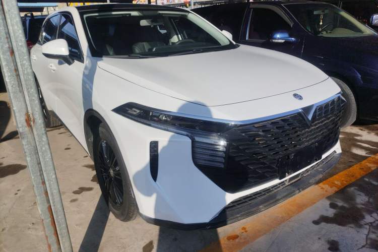Used Venucia V 2021 260T Idol Edition Exterior 2