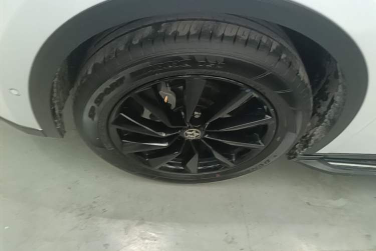 Used Venucia V 2021 260T Tianwang Edition Exterior 4