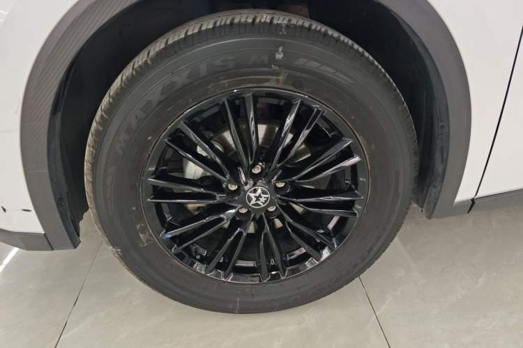 Used Venucia V 2021 260T Idol Edition Exterior 4