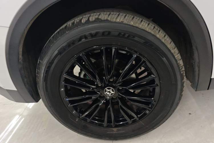 Used Venucia V 2021 260T Idol Edition Exterior 5