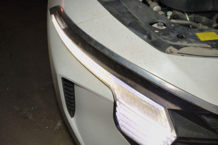 Used Venucia V 2021 260T Idol Edition Exterior 6