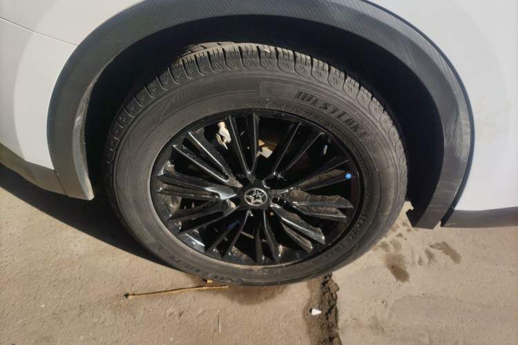 Used Venucia V 2021 260T Idol Edition Exterior 8