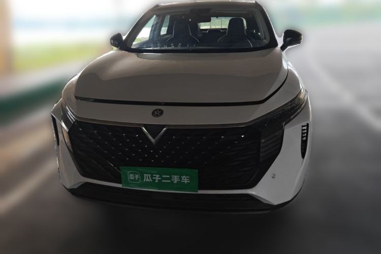 Used Venucia V 2021 260T Tianwang Edition Front
