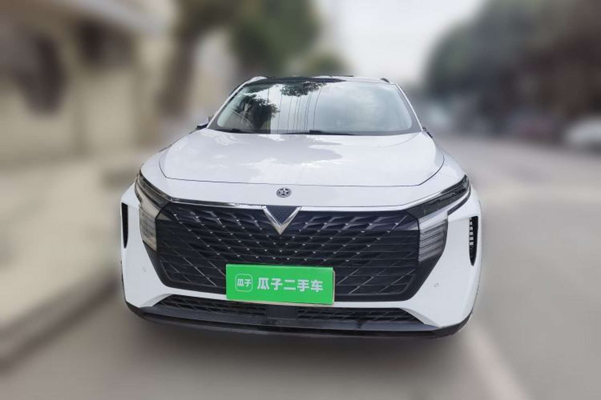 Used Venucia V 2021 260T Tianwang Edition Front