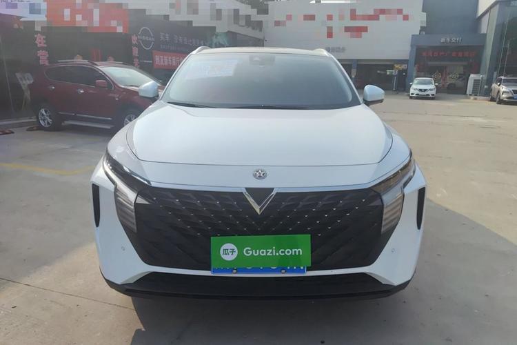 Used Venucia V 2021 260T Tianwang Edition Front
