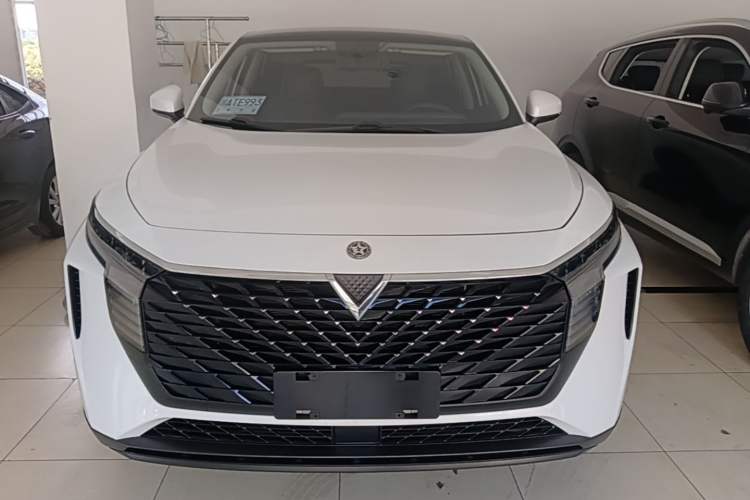 Used Venucia V 2021 260T Idol Edition Front