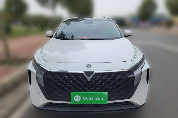 Used Venucia V 2021 260T Tianwang Edition Front