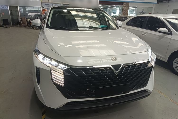 Used Venucia V 2021 260T Tianwang Edition Front
