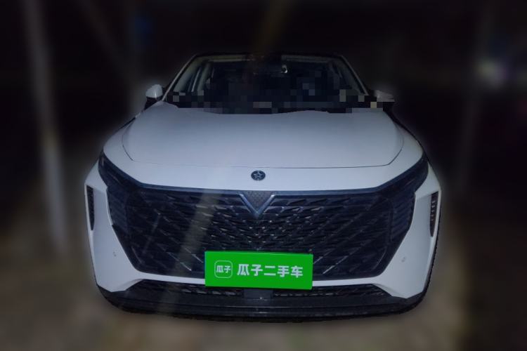 Used Venucia V 2021 260T Tianwang Edition Front