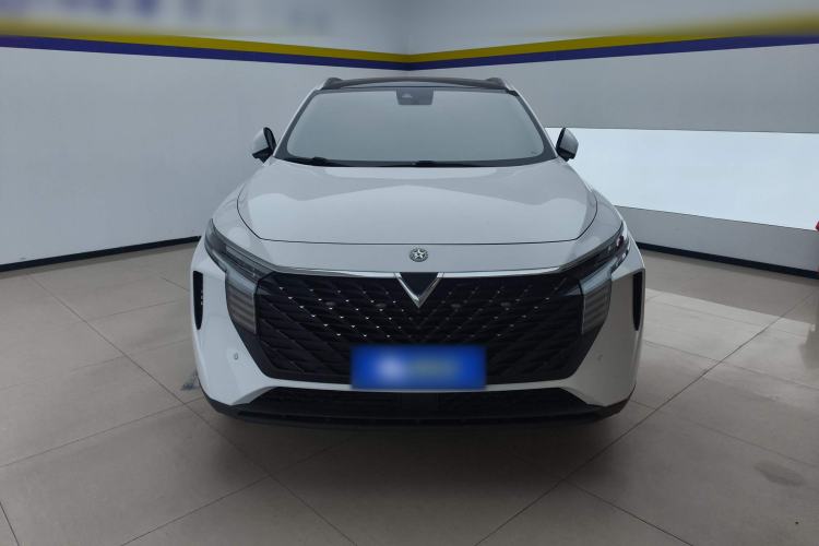 Used Venucia V 2021 260T Tianwang Edition Front